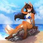  1:1 4_toes 5_fingers anthro barefoot big_breasts bikini black_hair breasts canid canine clothing day detailed_background eyebrows eyelashes female fingers fox hair mammal outside sky solo sorafoxyteils swimwear toes yellow_eyes 