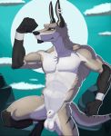  absurd_res animal_genitalia anthro balls canid canine canis coyote ear_piercing ear_ring fully_sheathed genitals hi_res male mammal muscular muscular_anthro muscular_male piercing sheath simple_background solo standing travon 