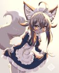  2020 4_fingers ahoge anthro apron blush breasts canid canine claws clothed clothing clothing_lift curtsey cute_fangs dipstick_tail dress dress_lift female fingers fluffy fluffy_tail fox fur glistening glistening_hair grey_background grey_body grey_ears grey_fur grey_hair grey_tail hair hi_res inner_ear_fluff kemono looking_at_viewer maid_headdress maid_uniform mammal multicolored_hair multicolored_tail open_mouth portrait signature simple_background solo three-quarter_portrait tsu_ji tuft uniform white_body white_fur white_hair white_tail yellow_eyes 