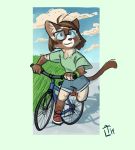  2019 anthro bicycle clothed clothing domestic_cat eyewear felid feline felis female fully_clothed glasses hair mammal outside siamese solo thelivingtrashcan 