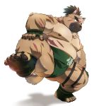  1boy abs animal_ears bara body_hair brown_fur brown_hair bulge chest facial_hair fox_boy fox_ears full_body furry japanese_clothes male_focus manly muscle nipples paws pectorals revealing_clothes rossciaco scar shirtless short_hair solo sumo thick_thighs thighs tokyo_houkago_summoners yasuyori_(tokyo_houkago_summoners) 