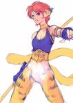  1girl animal_ears breasts breath_of_fire breath_of_fire_ii bustier cat_ears cat_tail closed_mouth facial_mark gloves highres looking_at_viewer no_pants orange_hair pointy_ears rinpoo_chuan short_hair simple_background solo tail white_background 