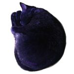  animal animal_focus artist_name black_cat black_fur cat closed_eyes commentary_request highres kamimon2016 no_humans original simple_background sleeping white_background 