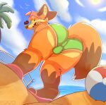 2025 absurd_res ambient_bird anthro ball beach beach_ball bent_over bottomwear bulge bulge_from_behind butt canid canine clothing detailed_bulge eyewear eyewear_on_head footwear fox fur green_clothing green_speedo green_swimwear hi_res inflatable looking_at_viewer looking_back looking_back_at_viewer low-angle_view male mammal orange_body orange_fur perineum_outline presenting presenting_hindquarters riley_(rileyrilesfox) rileyrilesfox sandals shoes sky solo speedo sport sunglasses sunglasses_on_head swimwear tail tail_aside tight_bottomwear tight_clothing underwear volleyball worm&#039;s-eye_view