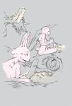  anthro anthro_on_anthro beastars black_eyes canid canine canis carcharoket domestic_rabbit duo erection female fur genitals grey_background grey_body grey_fur handjob haru_(beastars) hi_res humanoid_genitalia humanoid_penis lagomorph larger_male legoshi_(beastars) leporid male male/female mammal nude oryctolagus penile penis rabbit sex simple_background size_difference smaller_female smile white_body white_fur wolf 