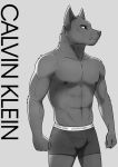  abs anthro biceps briefs bulge calvin_klein canid canine canis closed_fist clothed clothing fist greyscale hi_res looking_aside male male/male mammal monochrome nipples pecs pose simple_background solo solo_focus topless underwear unknown_artist wolf 