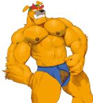5_fingers abs anthro arm_tuft balls barely_visible_balls barely_visible_genitalia biceps big_muscles big_pecs big_teeth black_nose blue_clothing blue_underwear bruskaroo bulldog canid canine canis clothed clothing clothing_pull domestic_dog dribble_(warioware) elbow_tuft eyebrows fangs fingers flaccid floppy_ears foreskin fur genitals grin hi_res humanoid_genitalia humanoid_penis kerchief male mammal mastiff molosser mostly_nude muscular muscular_anthro muscular_male nintendo nipples orange_body orange_fur pecs penis red_eyebrows smile snout solo teeth thick_eyebrows thick_neck thick_thighs tuft underwear underwear_only underwear_pull warioware