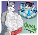 anthro bulge canid canine canis genitals internal male male/male mammal oral oral_vore penis roco soft_vore vore wolf 
