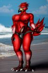  anthro avian beach beak bird claws clothing detailed_background flamingo fluffy fluffy_tail fur genitals hi_res male nipples penis red_body red_fur seaside solo underwear zi0808 