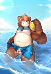  2020 anthro balls belly blush brown_body brown_fur canid canine flaccid fur genitals hi_res humanoid_hands kemono male mammal moobs nipples outside overweight overweight_male penis raccoon_dog solo ssssssssss3000 tanuki water young 