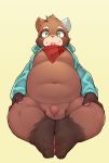  2020 anthro balls brown_body brown_fur canid canine clothed clothing flaccid foreskin fur genitals green_eyes hi_res hoodie kemono male mammal open_clothing open_hoodie open_topwear overweight overweight_male penis raccoon_dog simple_background sitting solo ssssssssss3000 tanuki tongue tongue_out topwear unretracted_foreskin young 