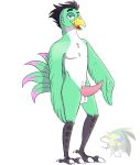  anthro avian balls bird chocobo erection final_fantasy genitals green_body hi_res male penis sarianabt sio solo square_enix video_games 