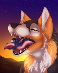  2020 4:5 absurd_res ambiguous_form ambiguous_gender anthro black_nose canid canine detailed_background digital_media_(artwork) fur hi_res hug macro male male/ambiguous mammal micro open_mouth orange_body orange_fur outside sergeantyakirr sky smile soft_vore star starry_sky teeth tongue twilight vore white_body white_fur yellow_eyes 