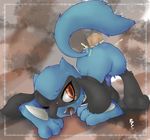  bcs pokemon riolu tagme 