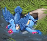 2025 ambiguous_gender ambiguous_prey avian bird black_body black_scales blue_body blue_feathers blue_scales countershading cramorant crocodilian crossed_legs dated digital_media_(artwork) doesnotexist eyes_closed fangs feathers feet fin floating flower flower_accessory generation_2_pokemon generation_8_pokemon grass happy hi_res lotus_snapjaw lying membrane_(anatomy) nintendo on_back oral_vore partially_inside partially_submerged plant pokemon pokemon_(species) reptile scales scalie signature subscribestar swamp tan_body tan_scales teeth toes totodile vore water watermark webbed_feet white_body white_feathers yellow_body yellow_scales