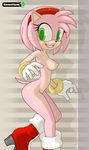  amy_rose greenhand sega sonic_team tagme 