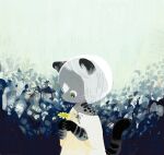 2014 anthro biped clothed clothed_anthro clothed_female clothing curious domestic_cat dress felid feline felis female female_anthro flower fur fur_markings gloves_(marking) grey_body grey_fur hair holding_flower holding_object looking_down m0ge mammal markings plant solo white_hair wide_eyed