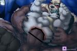  anal anal_penetration anthro anthro_on_anthro anus balls biped black_sclera canid canine canis clothing duo erection fur genitals hi_res horkeukamui humanoid_genitalia kimun_kamui_(tas) male male/male mammal muscular muscular_male night nipples pecs penetration penis red_eyes renoky sex size_difference text tokyo_afterschool_summoners url ursid ursine vein veiny_penis video_games wolf yellow_eyes 
