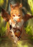  1girl absurdres animal_ears arknights bangs bare_shoulders breasts ceobe_(arknights) chinese_commentary commentary_request grass hair_between_eyes highres kneeling long_hair looking_at_viewer maruko_le medium_breasts mouth_hold mushroom orange_eyes orange_hair solo tail tail_wagging thighs torn_clothes very_long_hair 