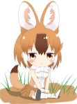  1girl animal_ear_fluff animal_ears bangs bare_shoulders blush boots breasts brown_eyes brown_hair brown_legwear brown_skirt chibi closed_mouth commentary_request dhole_(kemono_friends) drooling eyebrows_visible_through_hair full_body gloves hair_between_eyes highres kemono_friends multicolored_hair pleated_skirt saliva shin01571 shirt shoe_soles sitting skirt sleeveless sleeveless_shirt small_breasts solo tail tail_raised thighhighs two-tone_hair white_background white_footwear white_gloves white_hair white_shirt 
