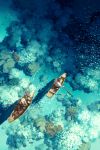  2boys boat brown_hair coral_reef day english_commentary fish fishing_rod from_above hat highres male_focus mou-s multiple_boys nature oar ocean old_man original pants rice_hat ripples rowboat scenery shirt sitting straw_hat t-shirt watercraft 