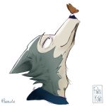  1:1 2019 anthro arthropod beastars black_nose butterfly canid canine canis fur grey_body grey_fur insect legoshi_(beastars) lepidopteran male mammal pinkikiwi signature simple_background snout solo white_body white_fur wolf 