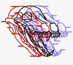  ambiguous_gender bone canid canine canis coyote fangs feral glitch mammal olympusmtp photo profile safe skull solo teeth 