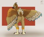  absurd_res anthro avian balls bird butt colesonfox feathers genitals hi_res male nude nudism owl solo tail_feathers teasing 