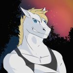  1:1 anthro clothing crossed_arms dzfire equid equine hair hi_res horse male mammal shirt smile solo sunset tank_top topwear 