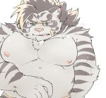 2020 anthro belly blue_eyes bodily_fluids cddi_h eyewear felid glasses humanoid_hands kemono licho_(tas) male mammal moobs nipples overweight overweight_male pantherine simple_background solo sweat tiger tokyo_afterschool_summoners video_games white_background 