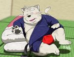  2020 anthro blush bulge clothing domestic_cat felid feline felis gatoggy inside kemono male mammal overweight overweight_male robe solo underwear 