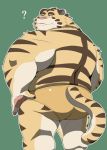  00murice 2020 ? anthro butt clothing felid green_background kemono male mammal overweight overweight_male pantherine simple_background solo tiger underwear 