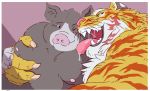  2017 anthro belly border domestic_pig duo felid gadoran grope humanoid_hands kemono licking male mammal moobs nipples overweight overweight_male pantherine suid suina sus_(pig) tiger tongue tongue_out white_border 