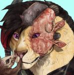  2020 anthro black_hair blue_background charr digital_media_(artwork) felid female feral group guild_wars hair headshot_portrait mammal murid murine portrait purple_eyes rat rodent rogueliger simple_background video_games whiskers 