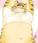  2015 anthro belly blush clothed clothing felid ginnosuke male mammal open_clothing open_shirt open_topwear overweight overweight_male pantherine shirt solo tiger topwear 