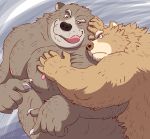  2015 anthro belly brown_body brown_fur duo fur gadoran humanoid_hands kemono male mammal nipples overweight overweight_male tongue tongue_out ursid 