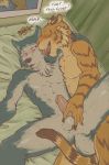  2020 anthro anthro_on_anthro anus athletic balls beastars bed bill_(beastars) blush canid canine canis duo face_lick felid fondling fur furniture genitals grey_body grey_fur legoshi_(beastars) licking lying male male/male mammal neck_tuft nude on_back on_bed orange_body orange_fur pantherine penis stripes text thorso_the_vile tiger tongue tongue_out tuft wolf 