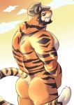  anthro back_muscles beard beastsauc3 big_muscles black_stripes butt cloud facial_hair felid fur hi_res male mammal muscular muscular_anthro muscular_male nude orange_body orange_fur pantherine pecs smile solo stripes tiger 