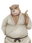  2014 3:4 anthro blush bodily_fluids brown_body brown_fur clothed clothing emufu fur hi_res humanoid_hands kemono male mammal overweight overweight_anthro overweight_male simple_background solo sweat ursid white_background 