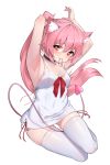  1girl animal_ears armpits bare_shoulders black_choker breasts cat_ears choker collarbone commentary_request covered_navel demon_tail dress frilled_choker frills hair_tie highres holding holding_hair lavie long_hair looking_at_viewer medium_breasts mouth_hold panties pink_hair ponytail red_ribbon ribbon side-tie_panties sitting skindentation small_breasts smile tail thighhighs tying_hair underwear white_dress white_leg white_legwear yokozuwari zettai_ryouiki 