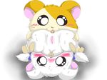  bijou hamtaro tagme 