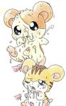  hamtaro nelly stan tagme 