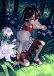  1girl arrow_print back_bow black_hair blue_bow blue_bowtie blue_sash bow bowtie bracelet clenched_hand collar commentary_request dress flower foliage forest full_body grass grey_streaks hand_up highres iris_japonica jewelry kijin_seija knees lace_trim multicolored_hair nature on_one_knee pink_flower puffy_short_sleeves puffy_sleeves red_collar red_eyes red_streaks sandals sash shadow short_hair short_sleeves single_tear small_horns solo streaked_hair toes touhou tree wankosoba_(wanwan_soba) white_dress 
