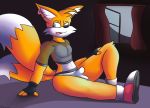  anthro bulge canid canine clothing costume fox full_moon hi_res male mammal mazilion miles_prower moon sega solo sonic_the_hedgehog_(series) underwear video_games 