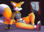  anthro bulge canid canine clothing costume fox full_moon genital_outline hi_res male mammal mazilion miles_prower moon penis_outline sega solo sonic_the_hedgehog_(series) underwear video_games 