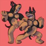  action_pose anthro barking black_body black_fur black_nose black_pawpads canid canine canis domestic_dog duo erection feet fur genitals glans hi_res male mammal mastiff molosser muscular muscular_male pawpads penis pink_glans pose ravuer rottweiler silly_face silly_pose simple_background small_nipples small_penis tan_body tan_fur 