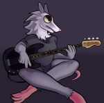 absurd_res american_opossum anthro bass_guitar female fur grey_body grey_fur guitar hi_res larger_female lewdraru mammal marsupial musical_instrument playing_music plucked_string_instrument raru_(lewdraru) sharp_teeth sitting size_difference solo string_instrument teeth