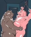 2020 anthro anthro_on_anthro belly bound brown_body brown_fur domestic_pig domination duo fur fururin555 kemono male male/male male_domination mammal nipples overweight overweight_male submissive submissive_male suid suina sus_(pig) ursid 