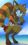 4_toes 5:8 5_fingers absurd_res aged_up anthro bikini bikini_bottom bikini_top blep blue_eyes brown_body brown_fur caramelfox clothing feet female fingers fur hi_res marine_the_raccoon orange_body orange_fur pigtails red_bikini red_clothing red_swimwear sega smug smug_expression smug_face solo sonic_the_hedgehog_(series) swimwear teasing toes tongue tongue_out two-piece_swimsuit