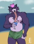  anthro armpit_hair beverage body_hair bulge canid canine canis chest_tuft clothing dad_bod dynamite_(character) hi_res long_tongue male mammal nipples overweight overweight_anthro overweight_male solo swimwear tachaal tongue tuft wolf 